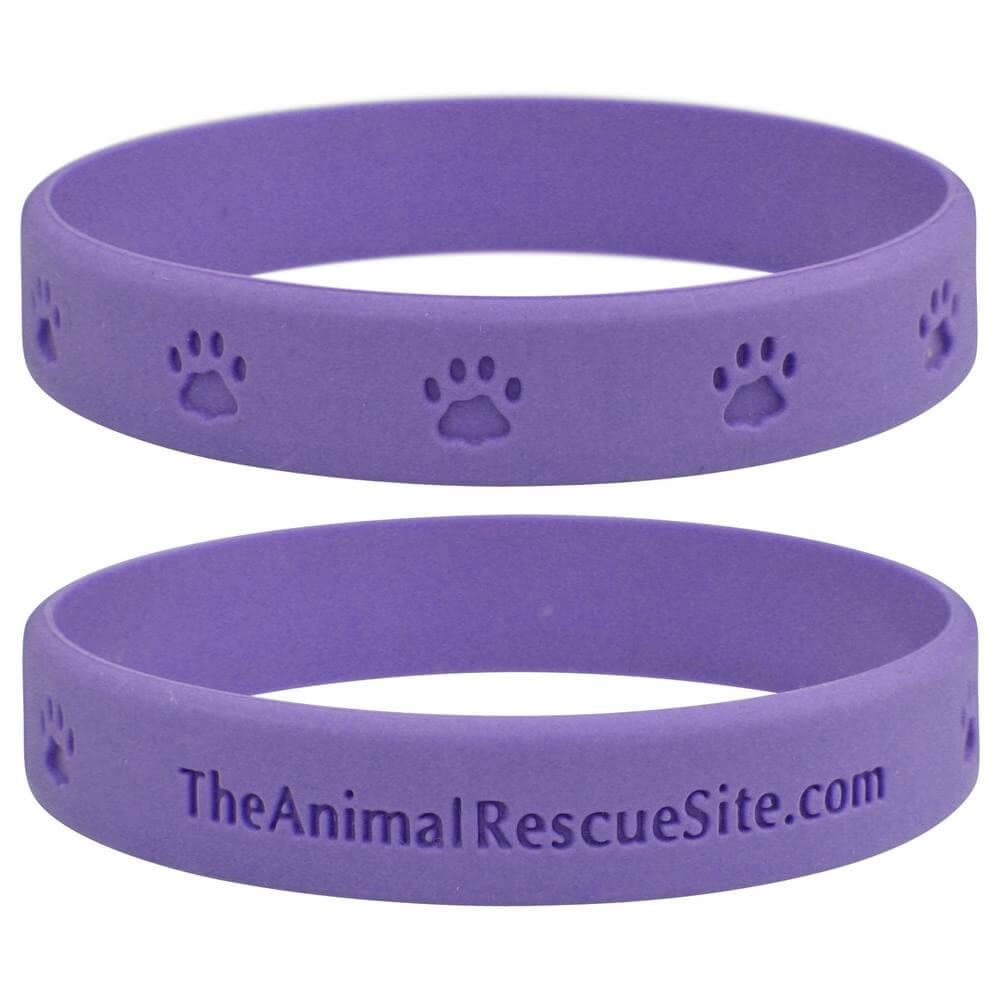 animal-rescue